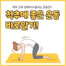 튼튼고려정형외과의원 이미지