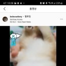 보보캐터리 이미지