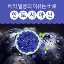 해맑은천상 이미지