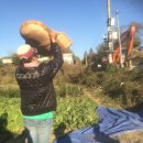 구억농장 이미지