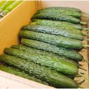 대송상회 이미지