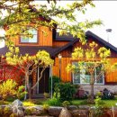 선이네민박 이미지