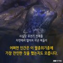 이상한나라의수족관