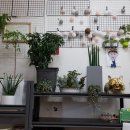 다경식당 이미지