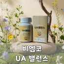 BMCO | 요산 수치 관리를 위해 먹고 있는 UA 밸런스 후기