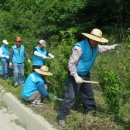 무궁화로 이미지