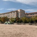 수락초교 이미지