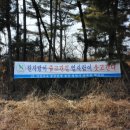 동댕이네 이미지