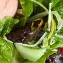 곡성농협오곡주유소 | 곡성기차마을맛집, 육장갈비 곡성점 (육장갈비2인)