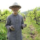 정호진농장 이미지