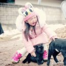 아기염소 이미지