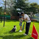 펫문화클럽 이미지