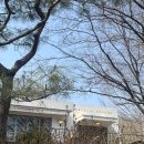 [내돈내산] 청평호 자연 속 조용한 카페 | 그레이트풀 그라운드