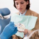 로이덴트 이미지