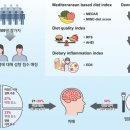 부산진구-28 이미지
