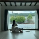 나진별채 | 여수여행 가성비 4인 독채숙소 추천 ,나진별채 후기