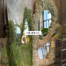 올랑시스 | 올랑시스 카페 후기｜크림 말차·꿀 살구 케이크 맛집 & 감성 인테리어 카페