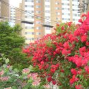 울안농장 이미지