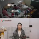 캠프넷
