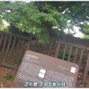 군자성황사지 이미지