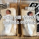 이화프라자 | 쌍둥이 이름짓기 셀프 작명 &amp; 일산 작명소 이화작명소 내돈내산 후기