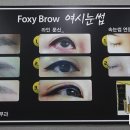 여시눈썹 이미지