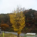 남한강자전거길 14 이미지