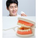 우리들40플란트치과병원 | 집에서 치아 관리, 정말 제대로 하고 계신가요?주월동치과 굿플란트