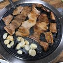 돼지꿈나라 이미지