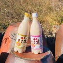 영농조합법인 교동믿음섬쌀 | 우도땅콩막걸리 마시는집 낙화곡주 술이술술