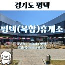 리본펫 | 휴게소 펫파크 평택(복합)휴게소 애견놀이터 호두과자 먹거리 방문 후기