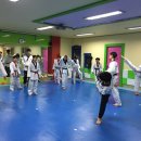 아리솔태권도장 이미지
