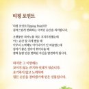 티핑포인트 이미지
