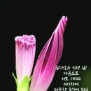 향기로 적은 펀지 이미지