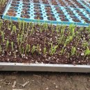 영복농장 이미지