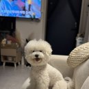 해랑나예 이미지