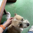 대일공업사 이미지