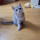 (주)다진심 이미지