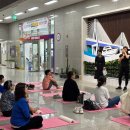 바른자세척추운동 이미지