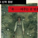식물상점 이미지