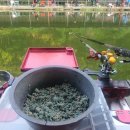 문봉낚시터 이미지