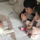 김민지 카카오 검색결과
