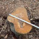 은평-052 이미지