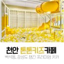 톤톤프리미엄키즈카페 이미지