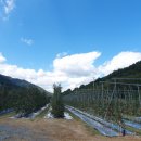 고희연농장 이미지