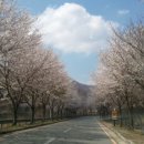 백양기업 이미지