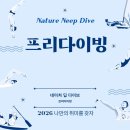 네이처다이브