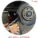 샬롬카센타