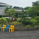 노루생태관찰원 | 노루체험과 수국 제주 거친 오름을 함께하는 가성비 좋은 노루생태관찰원 방문후기