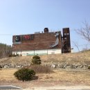 그린원 Daum카페